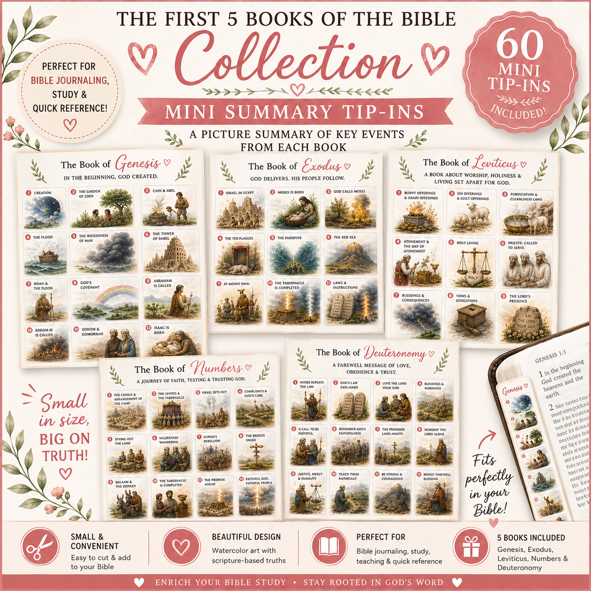 First 5 Books of the Bible