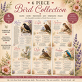 Birds of the Bible Collection