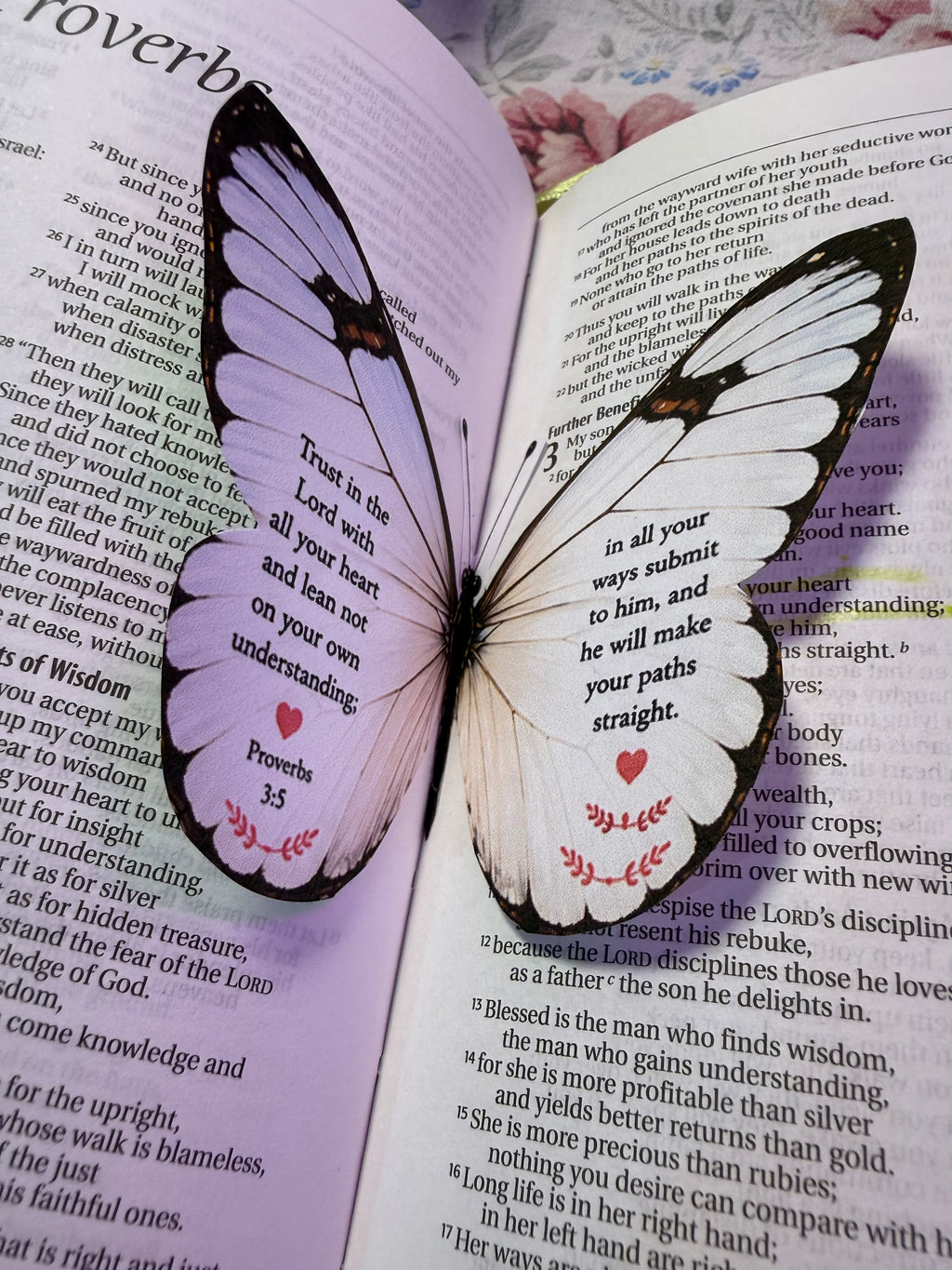 Exclusive Butterfly Collection