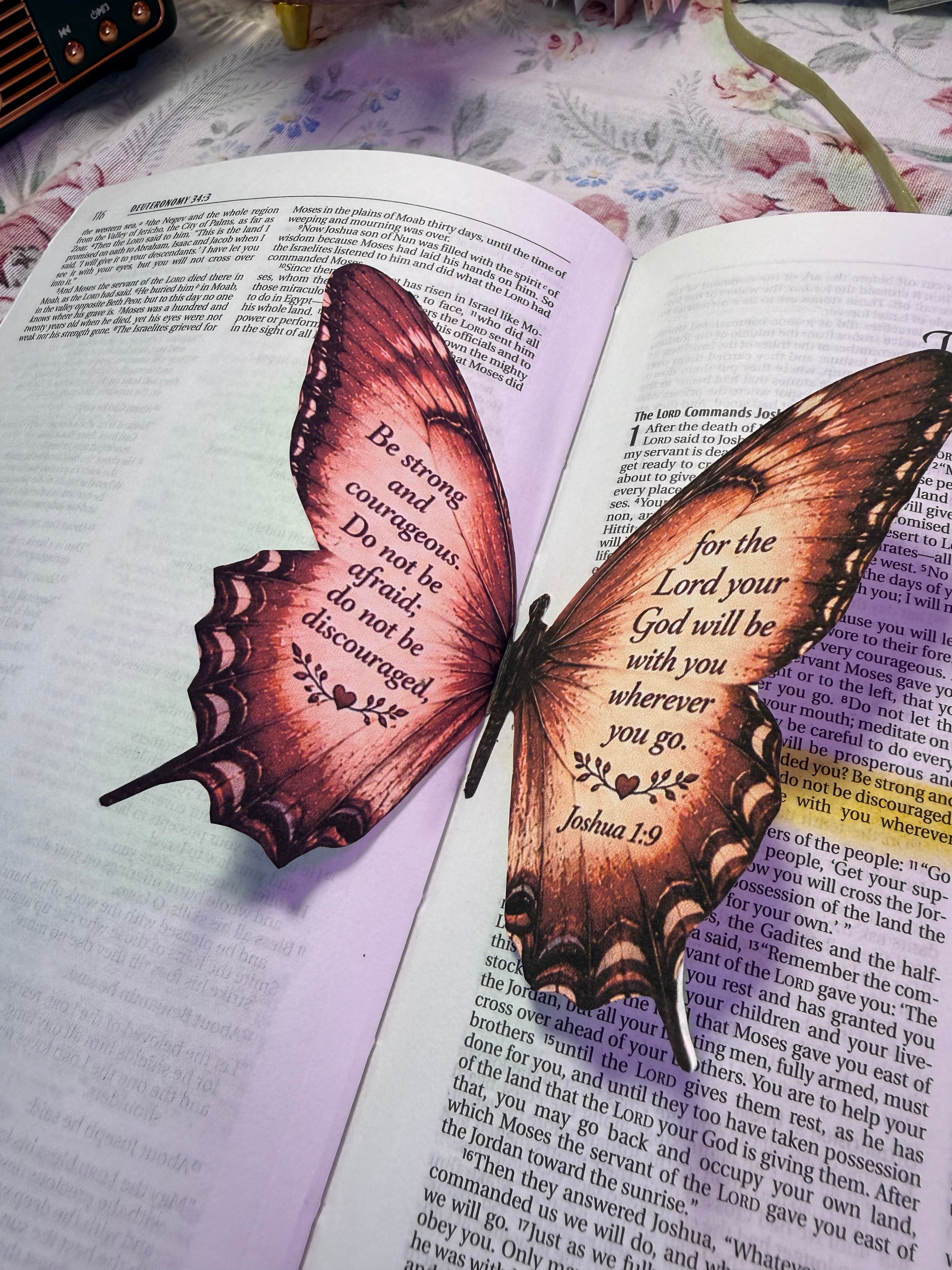Exclusive Butterfly Collection